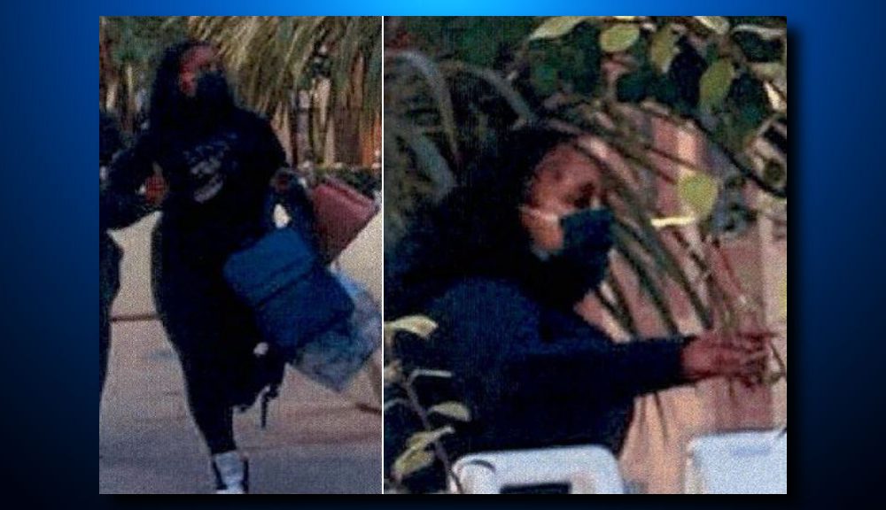 Louis Vuitton Store Robbed In San Francisco