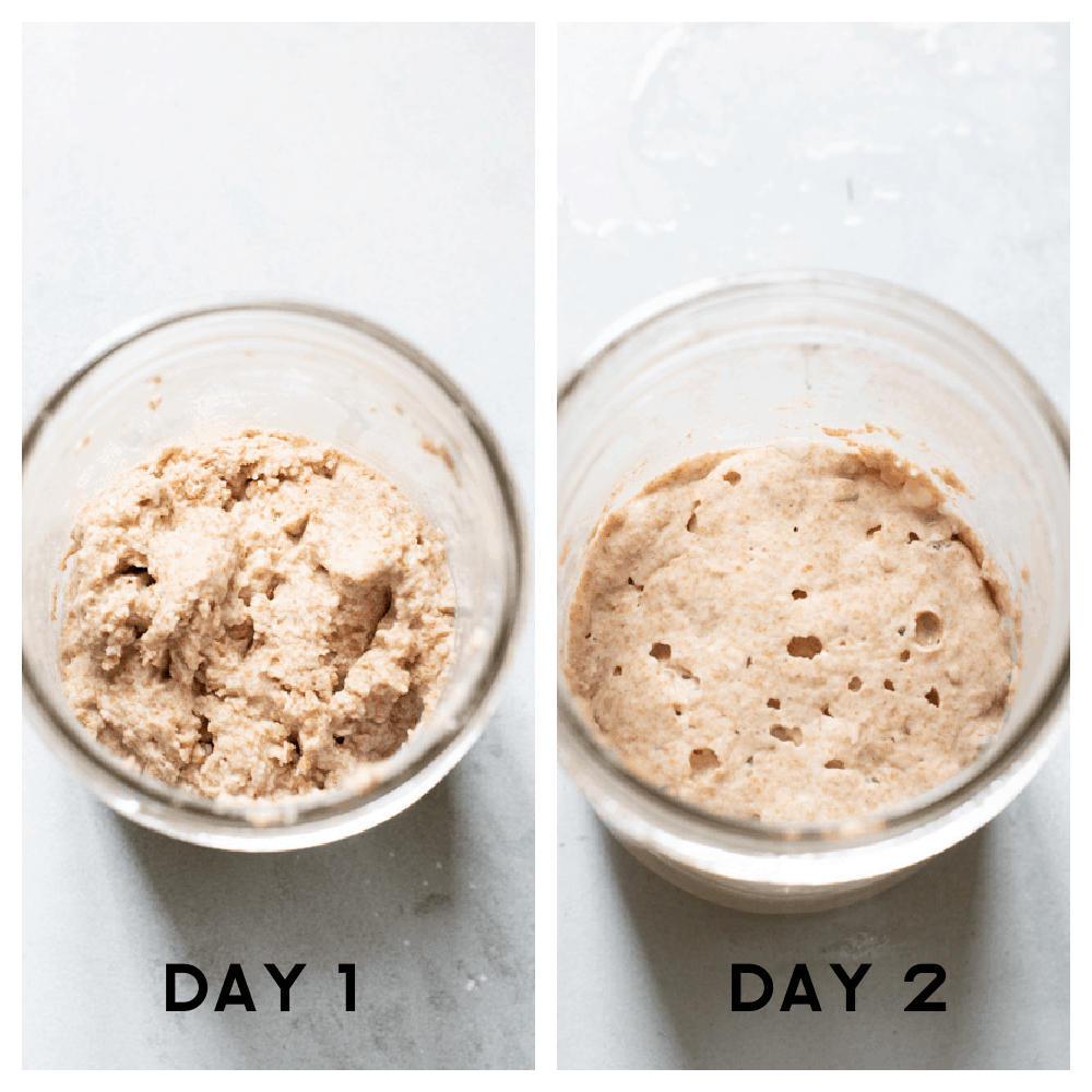 Start your sourdough journey with this guide on cultivating wild yeast! You only need flour, water, and a few minutes of maintenance each day to bake better bread! Two jars showing the process of making sourdough.
