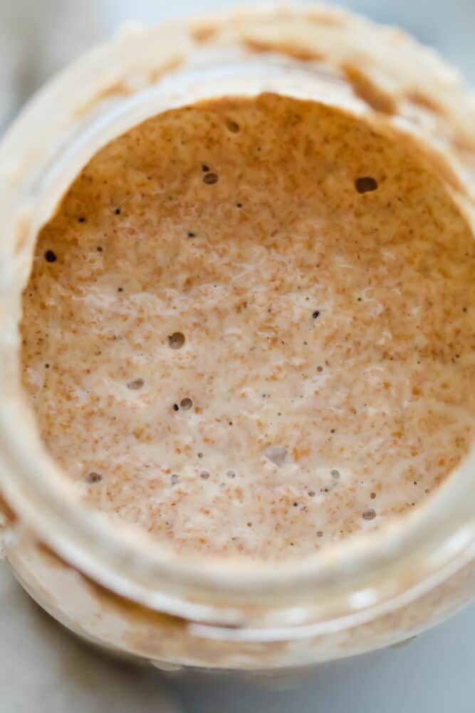 Start your sourdough journey with this guide on cultivating wild yeast! You only need flour, water, and a few minutes of maintenance each day to bake better bread! A close-up of Sourdough Starter, bubbling and rising.