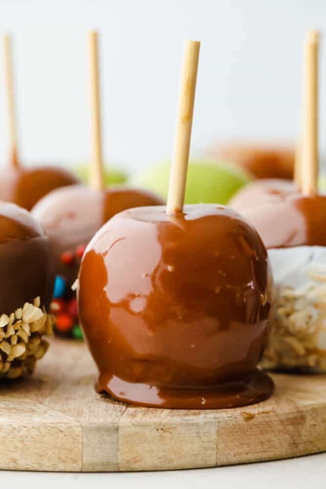 Celebrate fall by making these gourmet homemade caramel apples! They are the perfect blend of tart and sweet, topped with layers of indulgent caramel. A variety of caramel apples with different toppings.