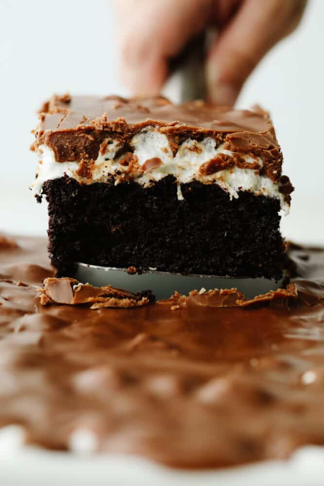 Mississippi mud cake is a delicious, ooey-gooey cake that is perfectly moist. It is absolutely amazing! And let me warn you now... you won't be able to stop after just one piece! Mississippi mud cake on a serving spoon.