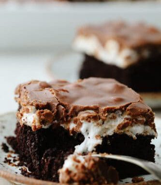 Mississippi Mud Cake