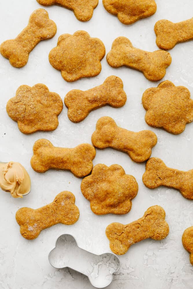 These homemade dog treats are going to be your pup's new obsession. They're super easy to throw together and full of healthy ingredients! Various dog treats and a bone-shaped cookie cutter.