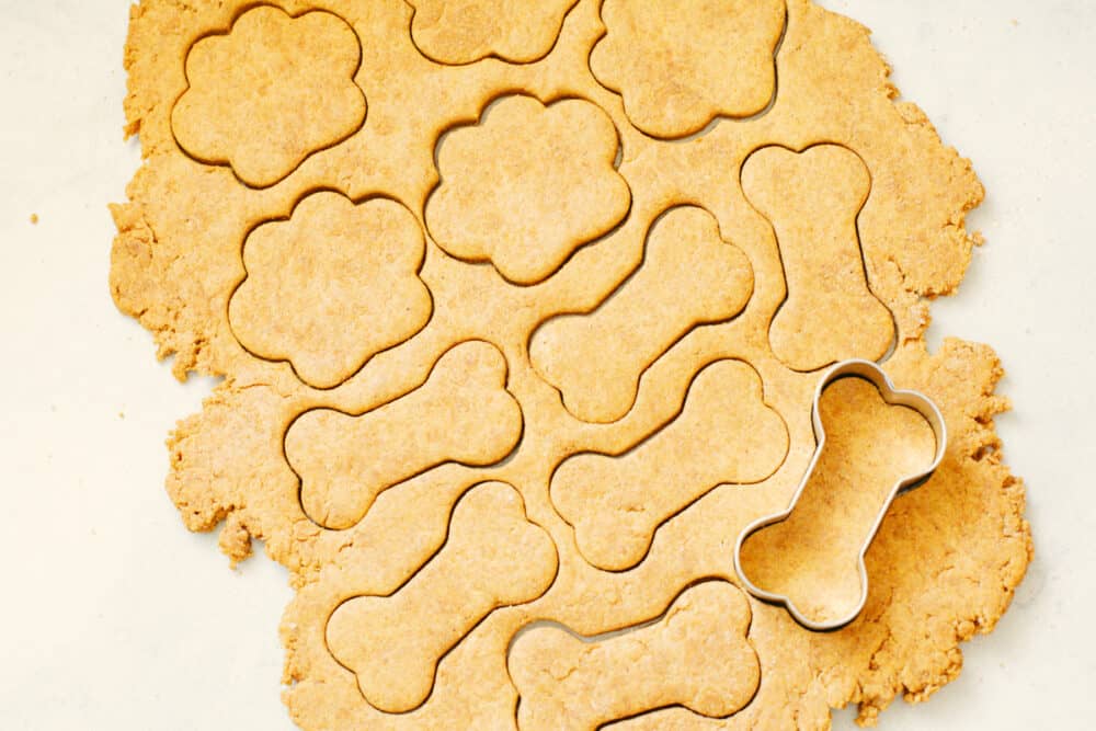 These homemade dog treats are going to be your pup's new obsession. They're super easy to throw together and full of healthy ingredients! Cutting rolled dough into various shapes.