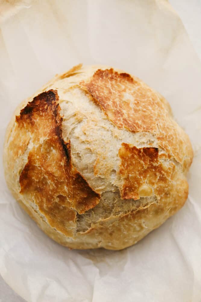 This amazing artisan no-knead bread recipe will make you feel like a rock-star baker! It has a perfectly crispy crust with a soft and chewy texture on the inside. Plus, it couldn't be easier to make from home! A loaf of no knead bread.