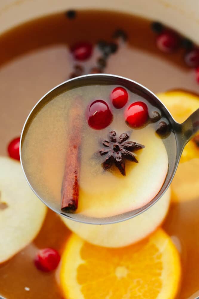 This traditional English drink is the perfect combination of fruit and spice! Wassail mixes up in a snap and is the perfect holiday crowd-pleaser! A cup of wassail garnished with cranberries and spice.